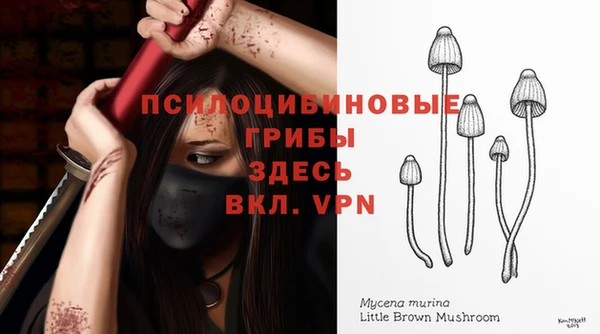 таблы Зеленодольск