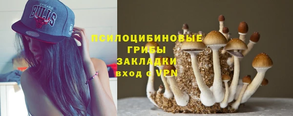 хмурый Зеленокумск
