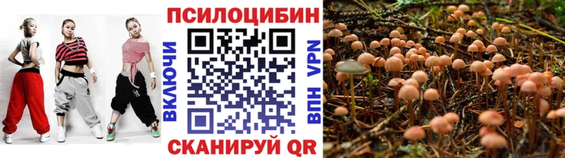 Псилоцибиновые грибы Cubensis Купить где Приволжск
